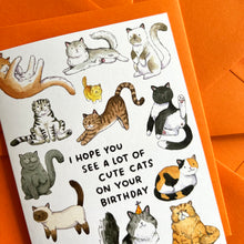 Load image into Gallery viewer, Hope You See Cute Cats Happy Birthday Card