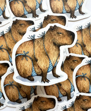 Load image into Gallery viewer, Capybara in Swimsuit Vinyl Die Cut Weatherproof Sticker