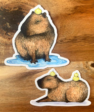 Load image into Gallery viewer, Capybara in Puddle Vinyl Die Cut Weatherproof Sticker