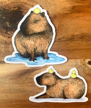 Load image into Gallery viewer, Capybara Laying Down Vinyl Die Cut Weatherproof Sticker
