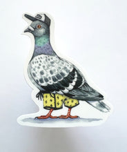 Load image into Gallery viewer, Pigeon in Swimsuit Vinyl Die Cut Weatherproof Sticker