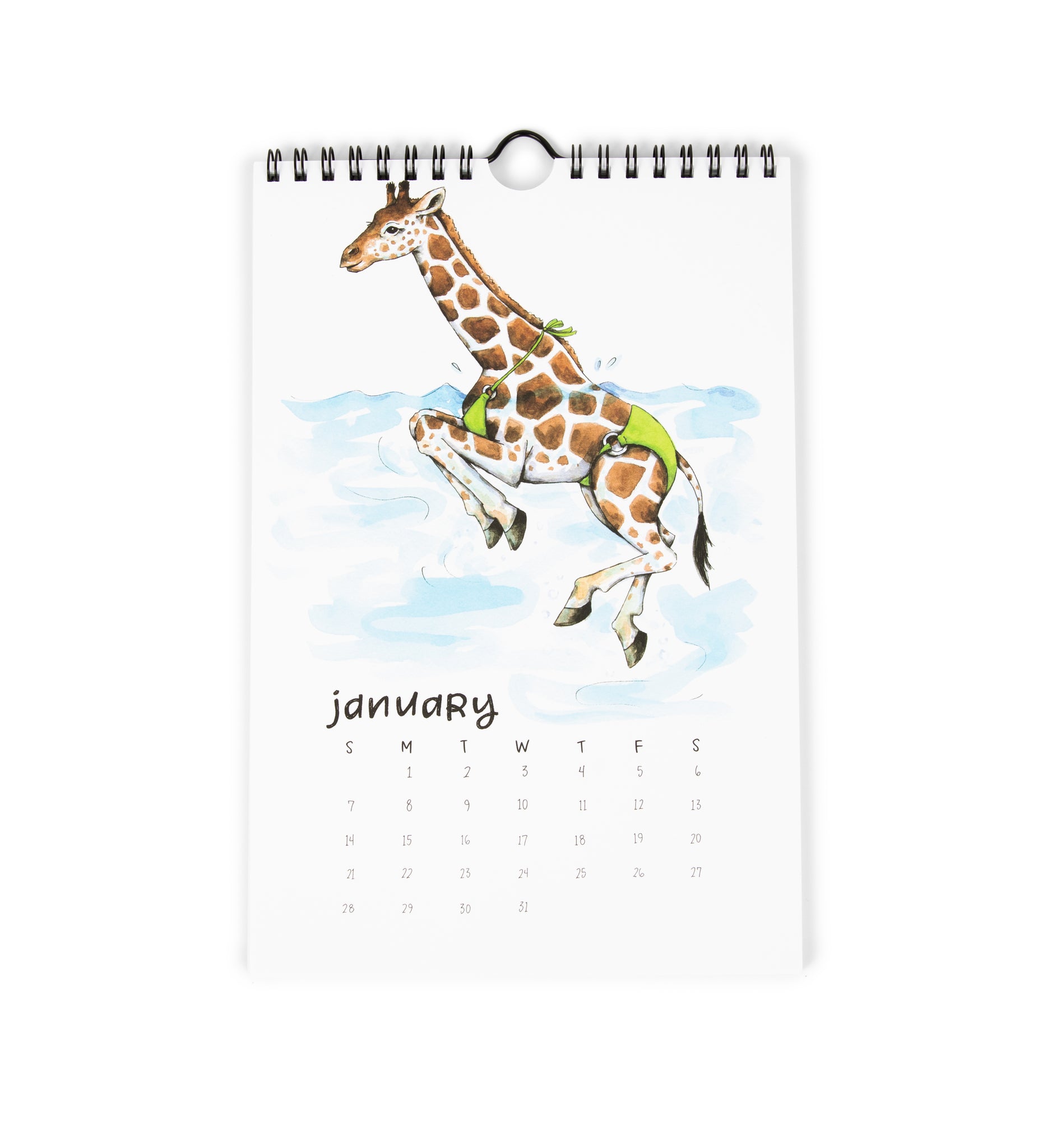 2024 Swimsuit Animals Watercolor Wall Calendar Paper Wilderness