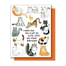 Load image into Gallery viewer, Hope You See Cute Cats Happy Birthday Card
