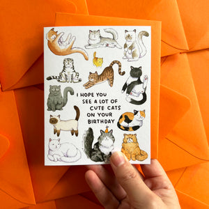 Hope You See Cute Cats Happy Birthday Card