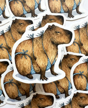 Load image into Gallery viewer, Capybara in Swimsuit Vinyl Die Cut Weatherproof Sticker
