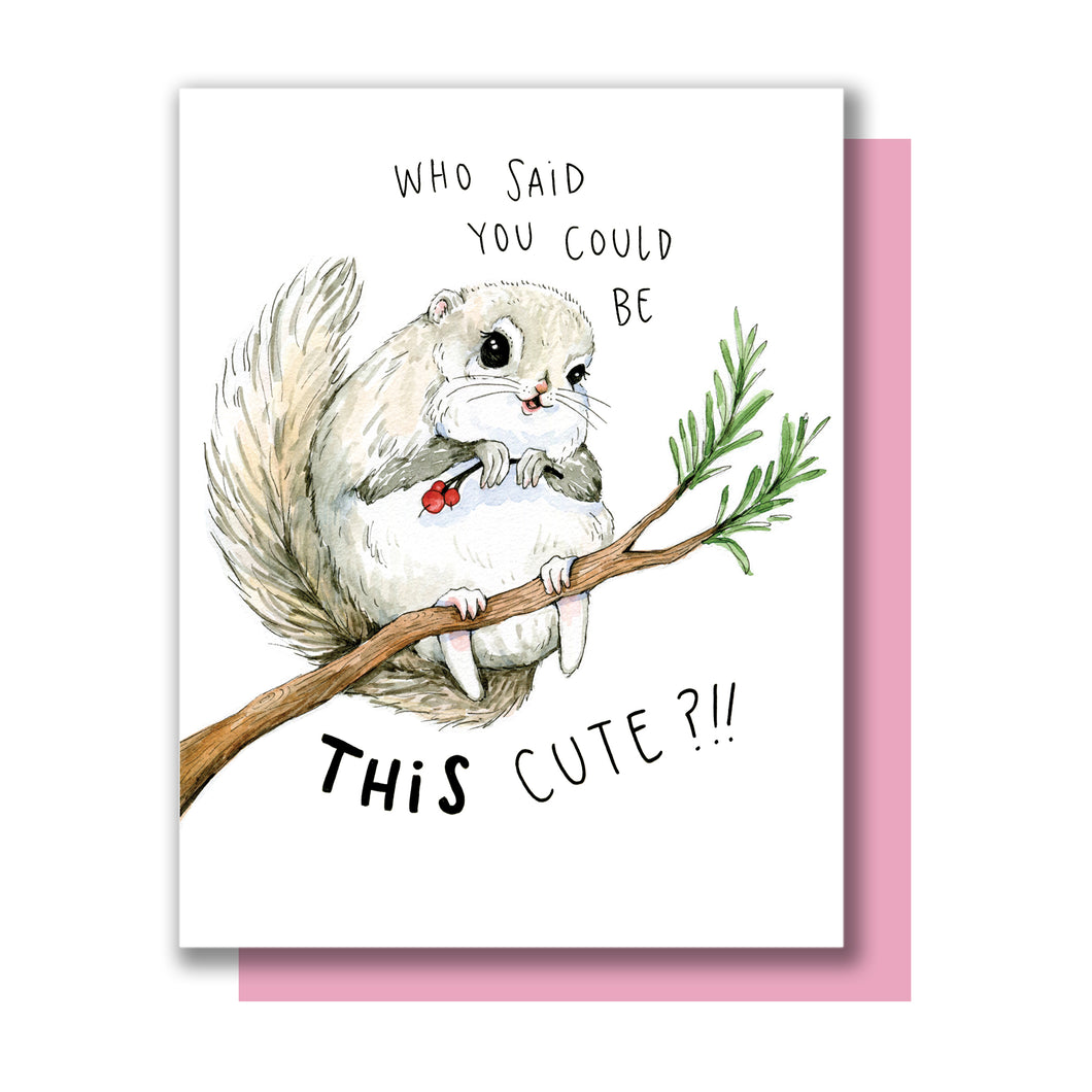 Who Said You Could Be This Cute?! Siberian Squirrel Love Friendship Card