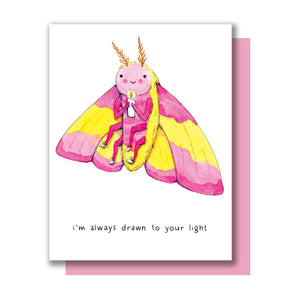 I'm Always Drawn To Your Light Cute Moth Friendship Card