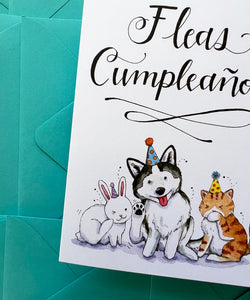 Fleas Cumpleaños Feliz Cupleaños Pets Happy Birthday Card