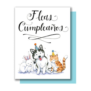 Fleas Cumpleaños Feliz Cupleaños Pets Happy Birthday Card