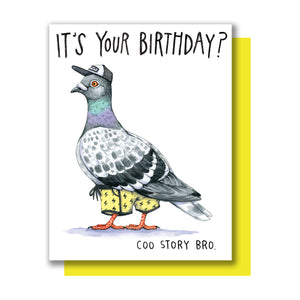 Pigeon Coo Story Bro Happy Birthday Card