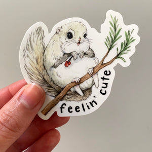 Feelin' Cute Siberian Squirrel Vinyl Die Cut Weatherproof Sticker